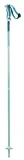Salomon, Bâtons de Ski pour Femme, 120 cm, Aluminium, ARCTIC LADY, Bleu, L40560500