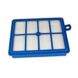 Aisen Filtre HEPA Lavable EFH12 W pour pour Electrolux POWERSYSTEM Praxio Oxygen Excellio Power System