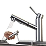 Homelody Robinet de Cuisine Extractible Bec Pivotant Mitigeur avec Douchette Robinet évier 2 Jets au Choix Chromé en Acier Inox pour Evier de Cuisine Salle de Bains