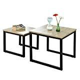SoBuy FBT42-N Tables Basses Gigognes - Set de 2 - Lot de 2 Tables d'appoint empilables