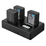Sony NP-FW50 Batterie de Rechange 1100mAh pour Appareil Photo Sony Alpha7/7ii/a6500/a6300/a5100, NEX-7, NEX-6, NEX-F3, NEX-3, Nex-5, NEX-5N, NEX-5T, SLT-A55V/A33/A35/A37, etc.