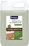 STARWAX Destructeur de Dépôts Verts Prêt à l'Emploi 5L