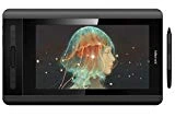 XP-PEN Artist 12 Tablette Graphique avec Ecran HD 11,6 Pouces Moniteur Dessin avec Stylet Passif 8192 Niveaux Pression + Support Stylet Multifonctionnel + Gant Tablette - Version 2019
