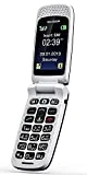ISHEEP GSM Téléphone Portable Débloqué avec Grandes Touches (SF213)