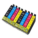 Teng Remplacer pour Epson 29 29XL Cartouches d'encre, Compatible avec Epson Expression Home XP-247 XP 342 XP-345 XP-235 XP-435 XP-245 XP-445 XP-442 XP-332(2 Noir,2 Cyan,2 Magenta,2 Jaune)
