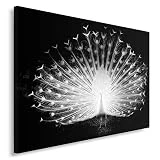Feeby Frames, Tableau Seul Panneau, Tableau imprimé XXL, Tableau imprimé sur Toile, Tableau Deco, Canvas 60x80 cm, Oiseaux, Paon, Noir ET Blanc