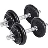 SONGMICS Lot de 2 Haltères Courts en Fonte, 20 kg, 30 kg, 40 kg, 50 kg, 60 kg (2 x 10 kg, 2 x15 kg, 2 x 20 kg, 2 x 25 kg, 2 x 30 kg) SYL20T
