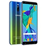 Telephone Portable Debloqué 4G 6 Pouces HD 2Go + 16Go ROM Android 7 8MP+5MP Appareil Photo 4800mAh Double SIM Face ID DUODUOGO J6 Plus Téléphone Portable Pas Cher sans Forfait (Or)