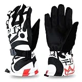 LAIABOR Gants De Ski Imperméables Neige pour Ski Snowboard Vélo Et Moto Écran Tactile Ou Ne Pas D'écran Tactile,White,M