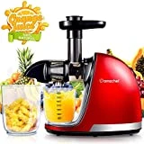 AMZCHEF Extracteur de Jus de Fruits et Légumes Sans BPA Slow Juicer Presse à Froid Machine avec moteur silencieux/tasse à jus/brosse de nettoyage/adapté à tous les Fruits et Légumes